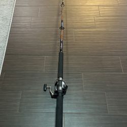 Tuna Fishing Rod And Reel 