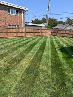 Gas Lawn Mower with Bag service