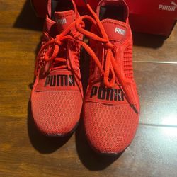 Puma  