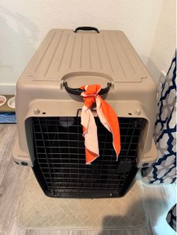 Kennel