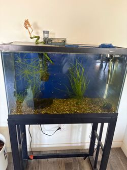 Fish tank