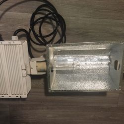 Intertek & HydroFarm Light, 3 Ballasts, T5 & Grow Tent