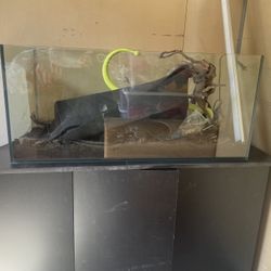 Aquarium 