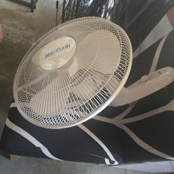 Wall mount Fan
