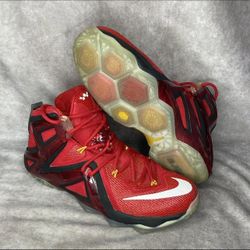 Nike Lebron 12 XII Elite Team Size 11