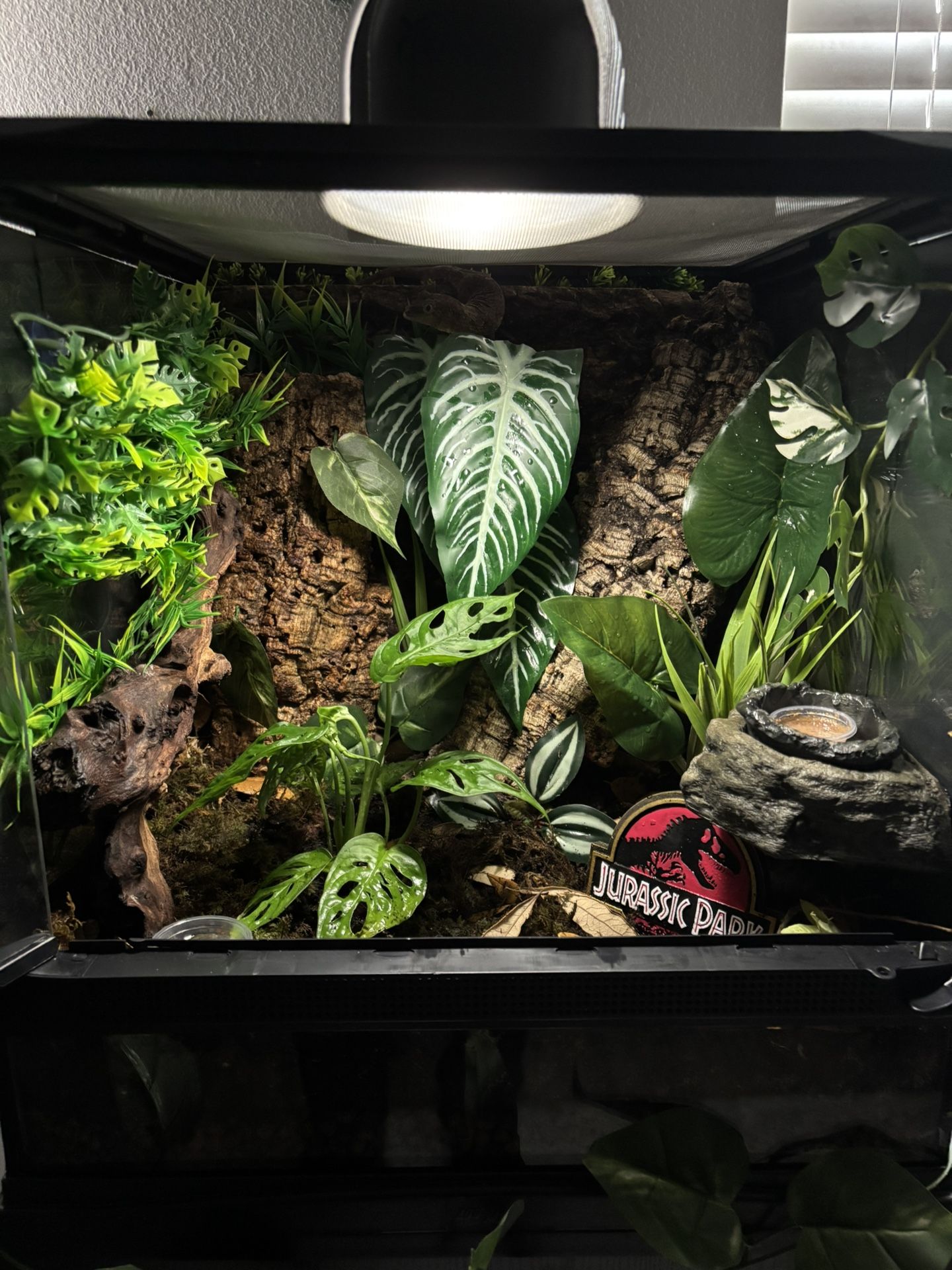 Reptile Terrarium  