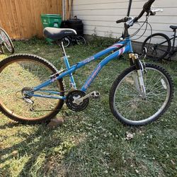 Ladies Murray Bayberry 21 Speed Mt. Bike 