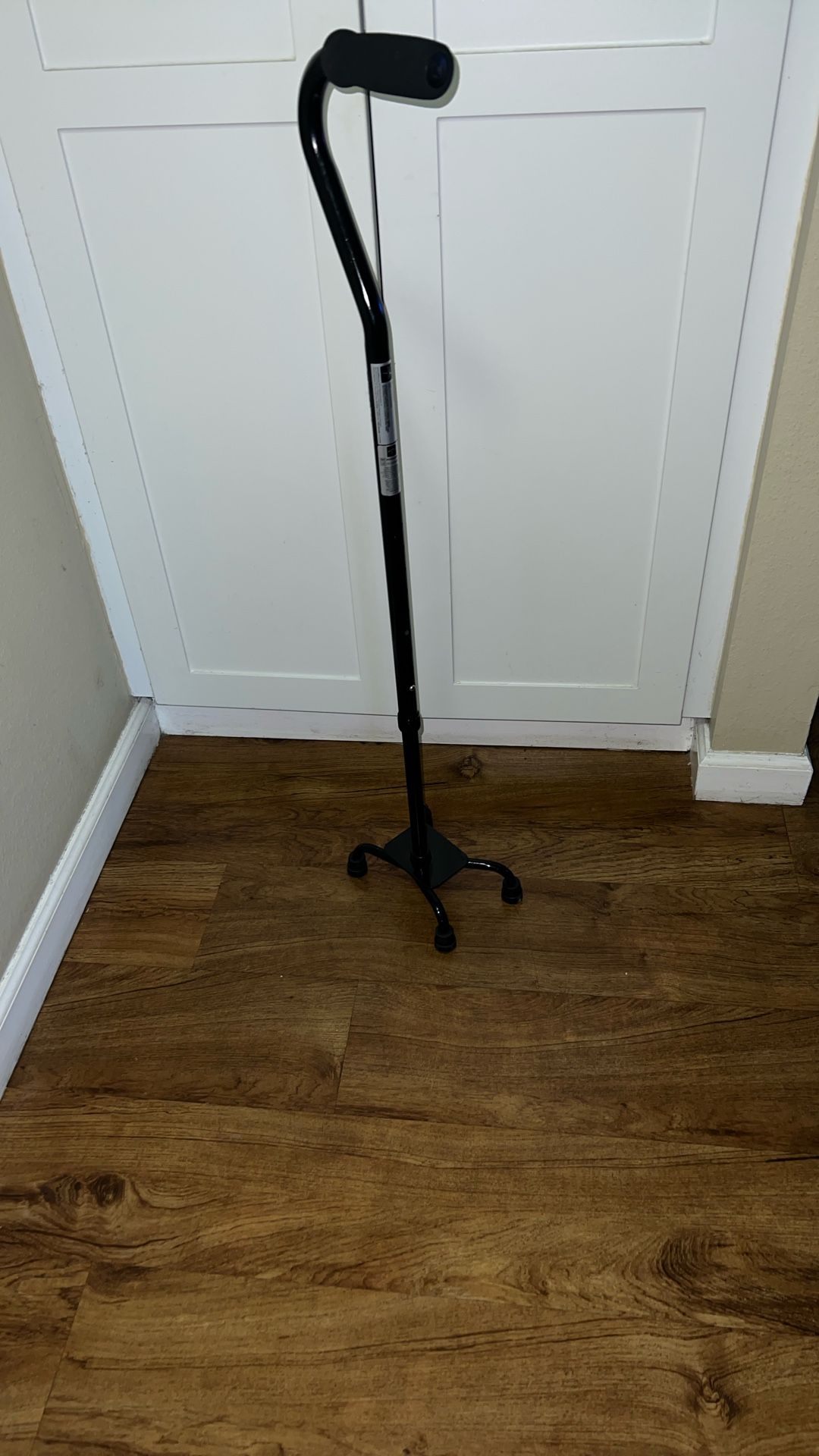 4 Prong Cane