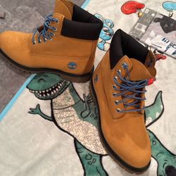 Men ‘s Timberland Premium Waterproof Boot