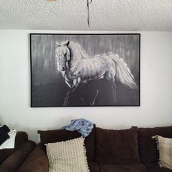 Horse Picture frames