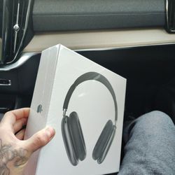 Apple Headphones 