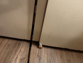 Daiwa Fishing Rod + Zebco 33 Classic Reel