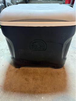 Igloo 30 qt. Black Personal Cooler