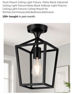 Flush Mount Ceiling Light Fixture