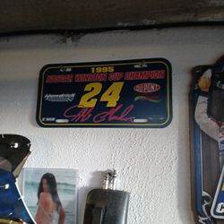 Jeff Gordon 