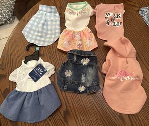 Female Dog Clothes. 