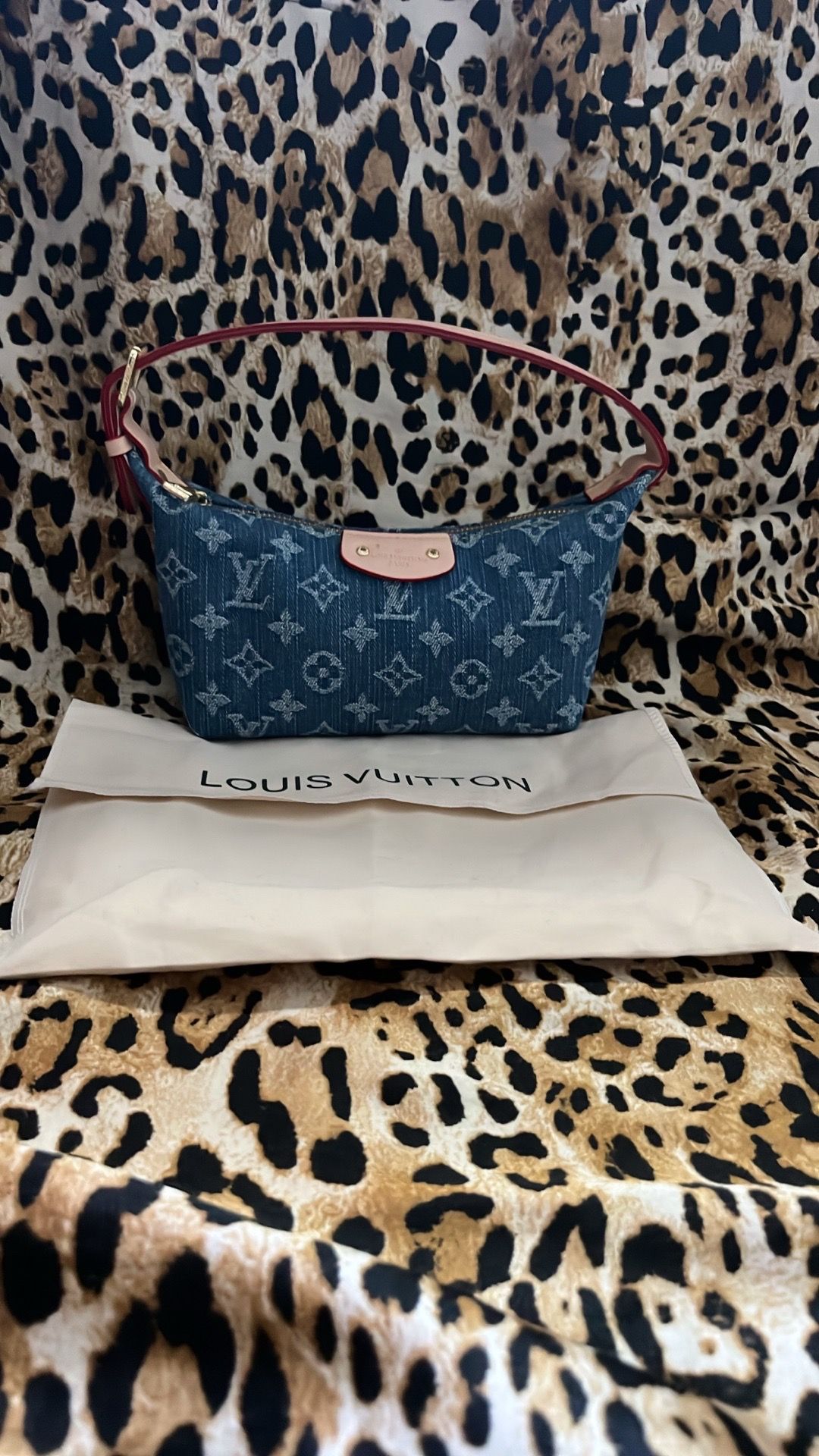 Louis Vuitton Bag