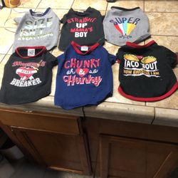 Small Dog Shirts