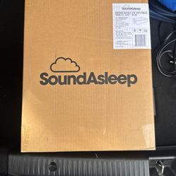 SoundAsleep Dream Air Mattress