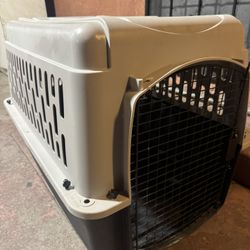 Dog Kennel 