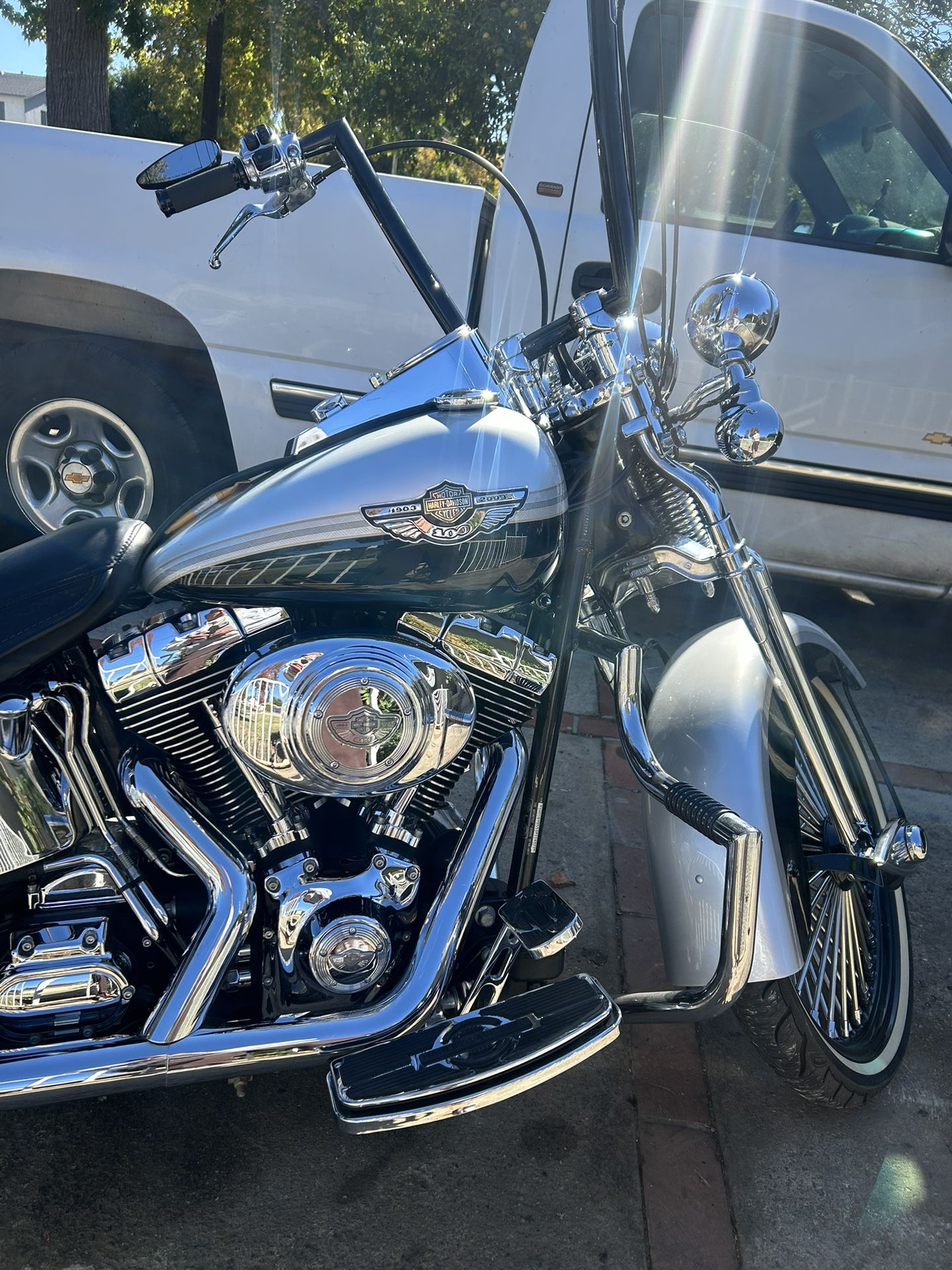 2003 Harley Springer