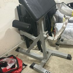 Preacher Curl Bench
