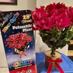 Color Changing Fiber Optic Poinsettia Plant