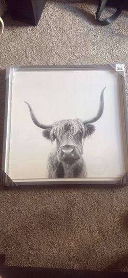 Highland cow framed picture