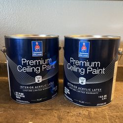 Ceiling Paint