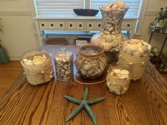 Massive Natural Sea She’ll Collection In Decorative Glassware