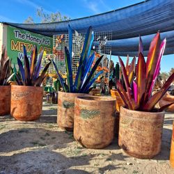 Metal Yard Art, Wind Spinners & POTTERY 🌵 