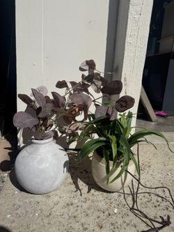 Faux Plants
