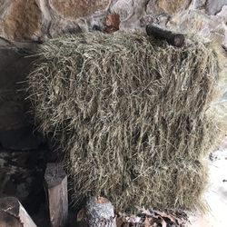 3 bails of Hay for sale