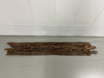 65” Natural Beach Driftwood Slab – Unique & Weathered
