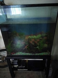 Fish Tank With Tank