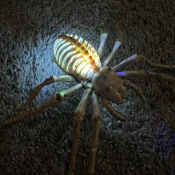 Halloween Decorations LED Spider 