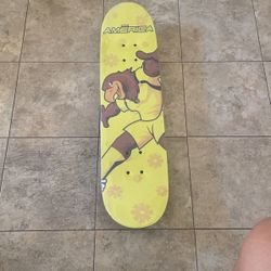 Skate Board 