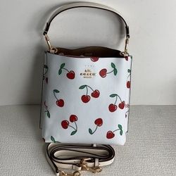 COACH Crossbody Shoulder Bag