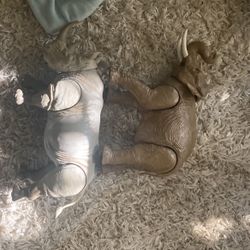Elephant And Rino