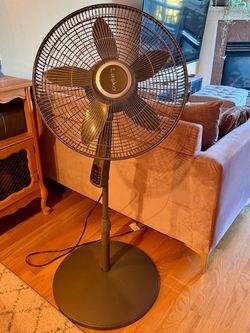 Lasko Oscillating Standing Fan with Remote + Timer
