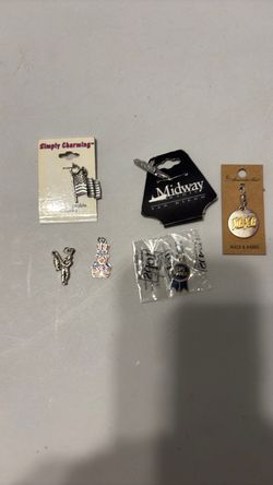 Charms 6 lot