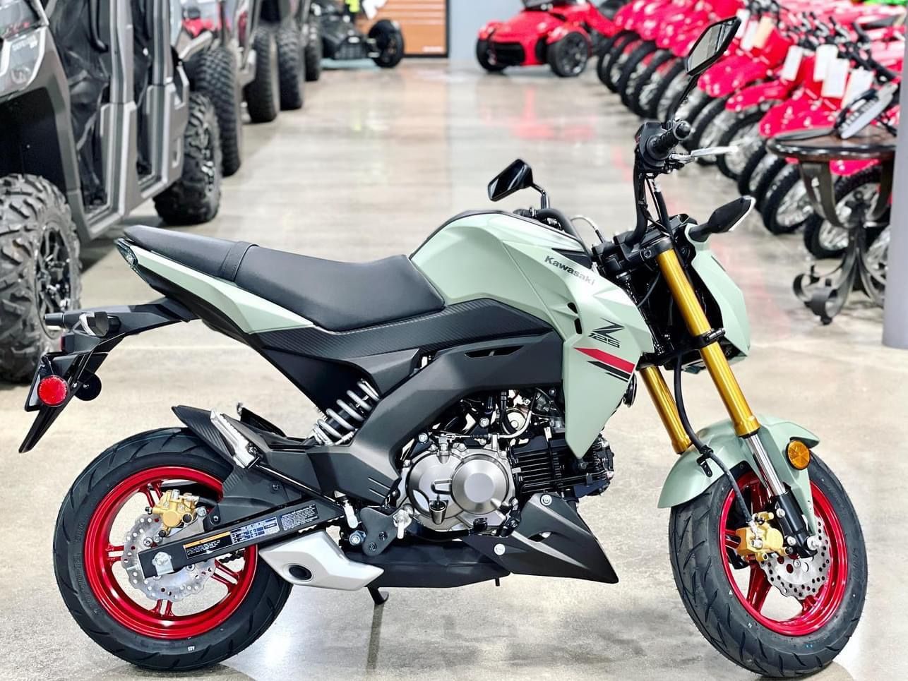 2023 Kawasaki Z125 Pro