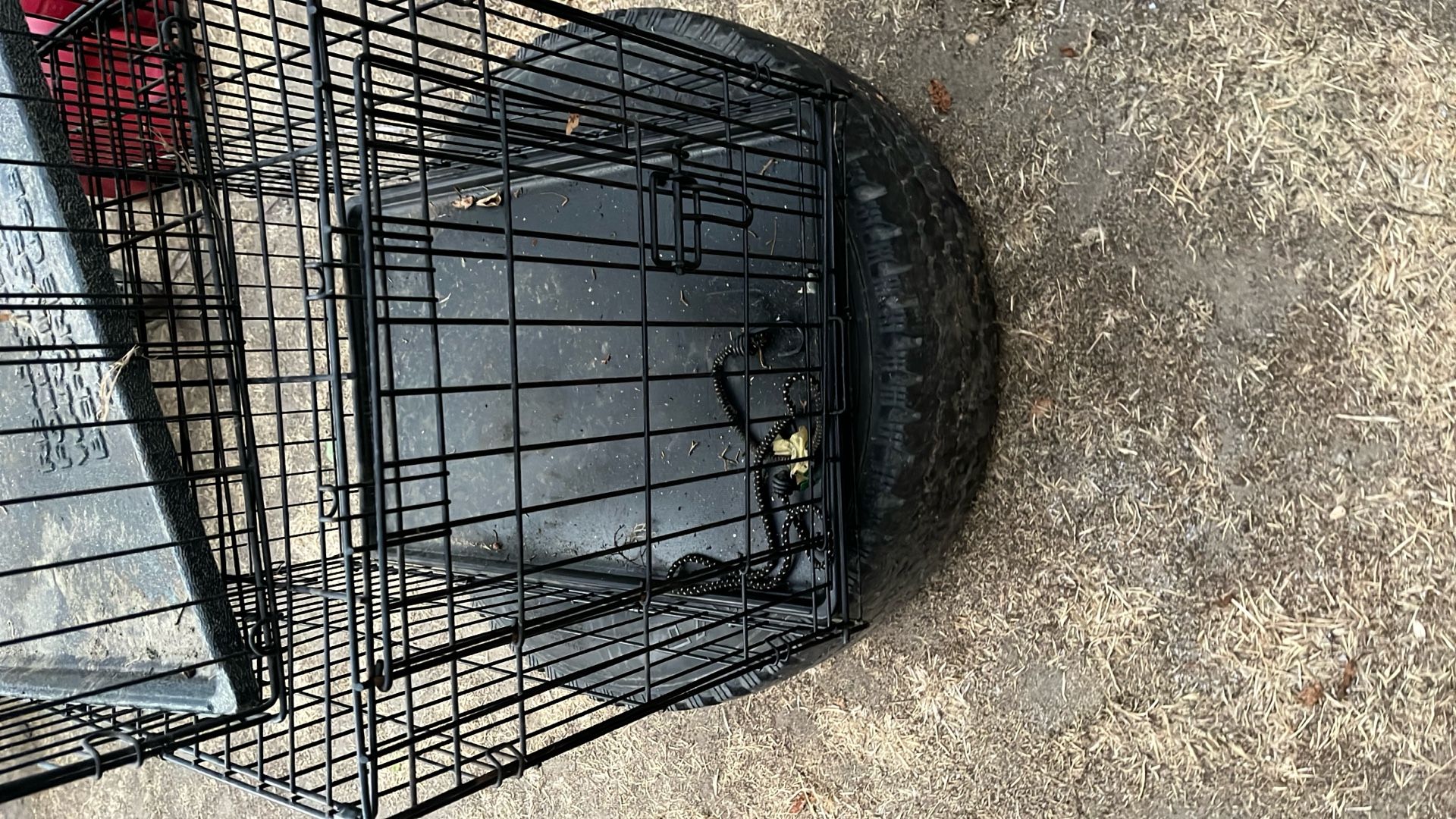 Dog Cage