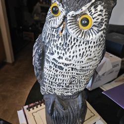 16" Blow Mold Owl