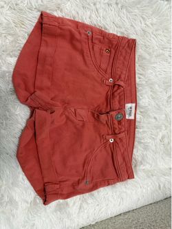 Hudson shorts