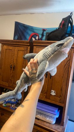 Shark