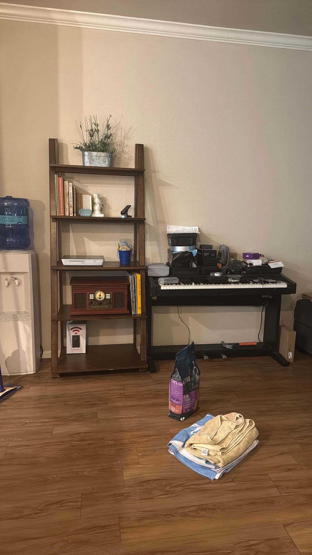 Ladder shelf