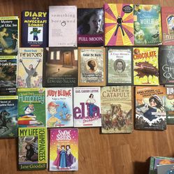 CHAPTER BOOK LOT! 