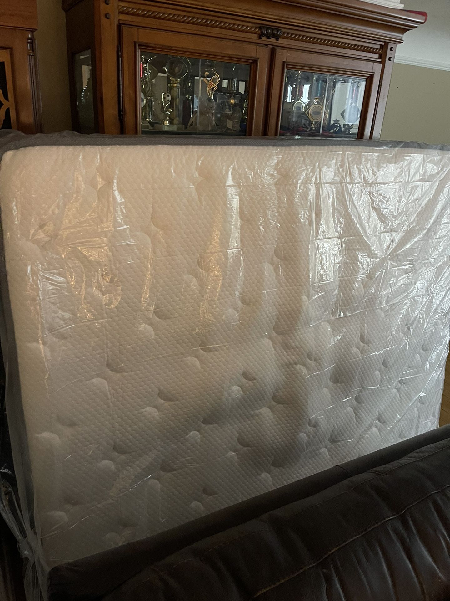 Queen Mattress Gojeff