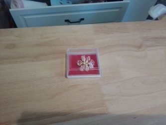 Flower Brooch Pin in Display Case